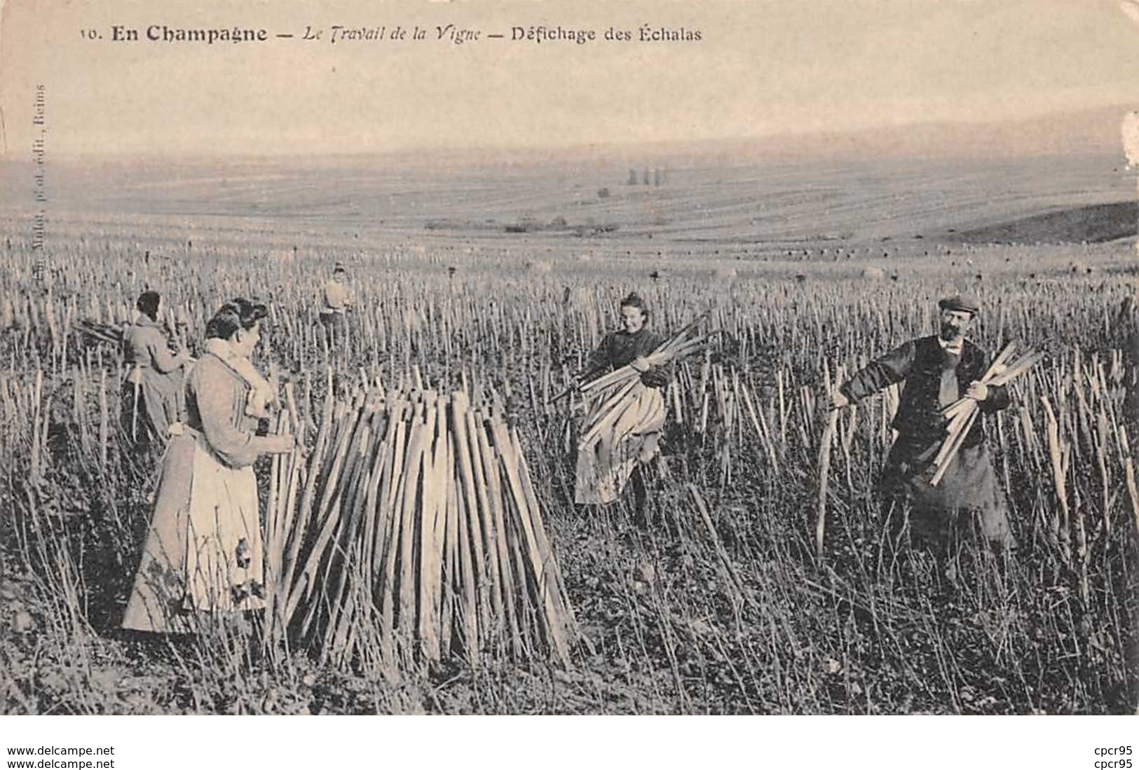 51    .    N° 202314      .       REIMS       .        LE TRAVAIL DE LA VIGNE ,  DEFICHAGE DES ECHALAS - Reims