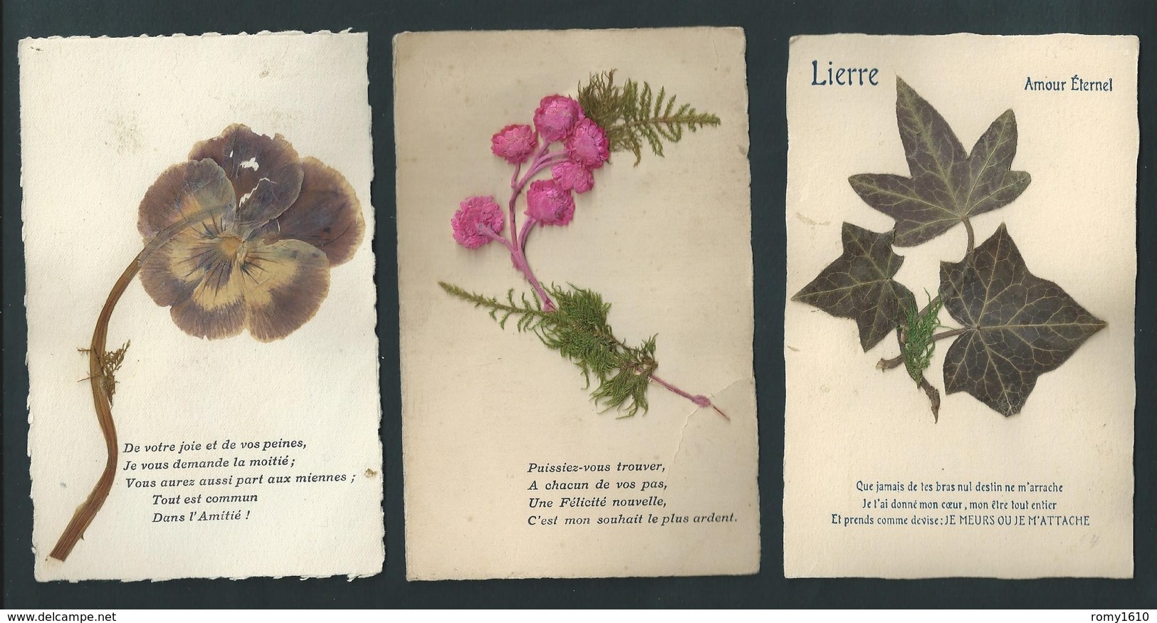 Petit Lot De 6 Cartes. Fleurs Naturelles Séchées, Poèmes, Poésies. - Autres & Non Classés