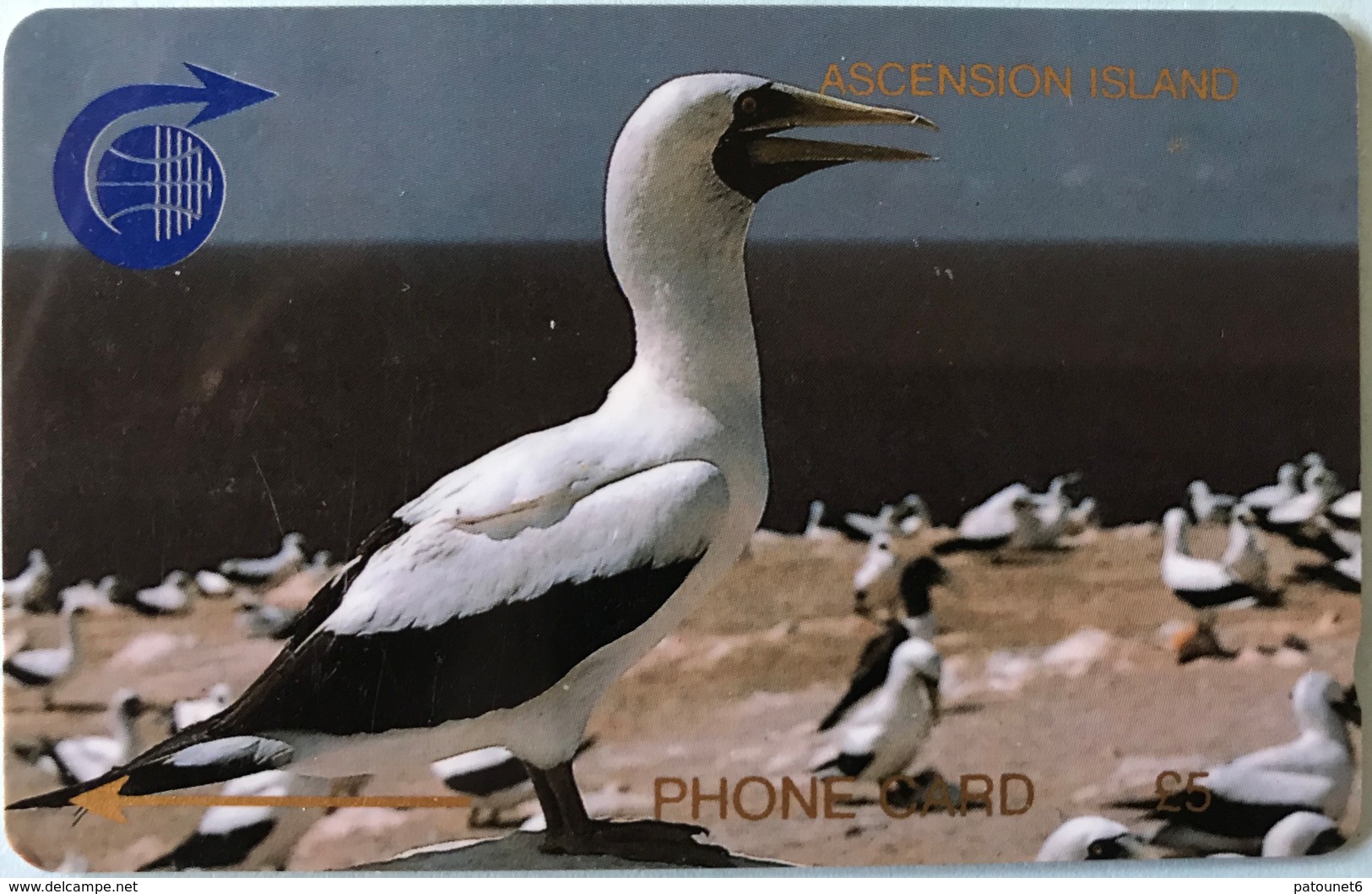 ASCENCION - Phonecard  -  Cable § Wireless  - Bird Sula  -  £5 - Ascension (Insel)