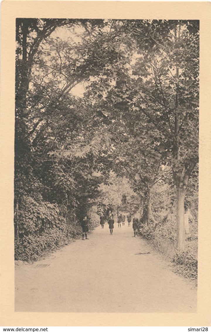 MONTPELLIER - ENCLOS SAINT FRANCOIS - PIERRE ROUGE - UN COIN DU PARC - Montpellier