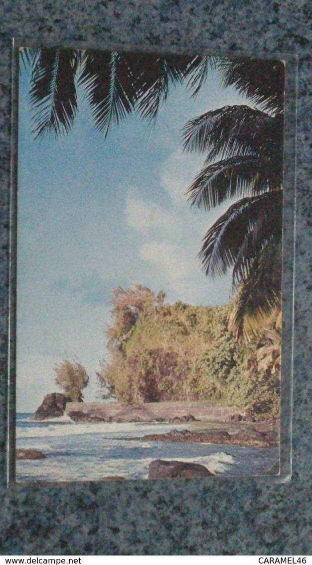 CSM - LA POINTE D OROFARA JOLIE ET SAUVAGE SUR LA COTE EST DE TAHITI - Tahiti