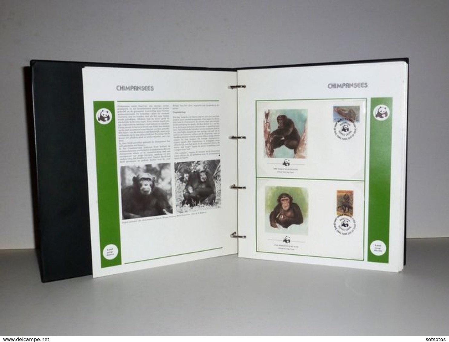 World  - 2 Albums WWF In Slipcase, Cancelled, MNH (Mint Never Hinged)  Two Albums With Loose Stamps And Envelopes With C - Colecciones & Series