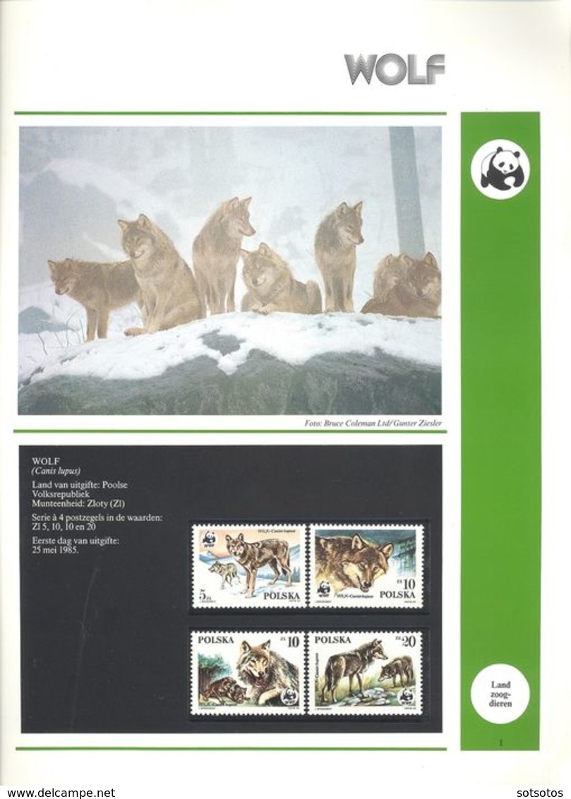 World  - 2 albums WWF in slipcase, Cancelled, MNH (Mint never hinged)  Two albums with loose stamps and envelopes with c