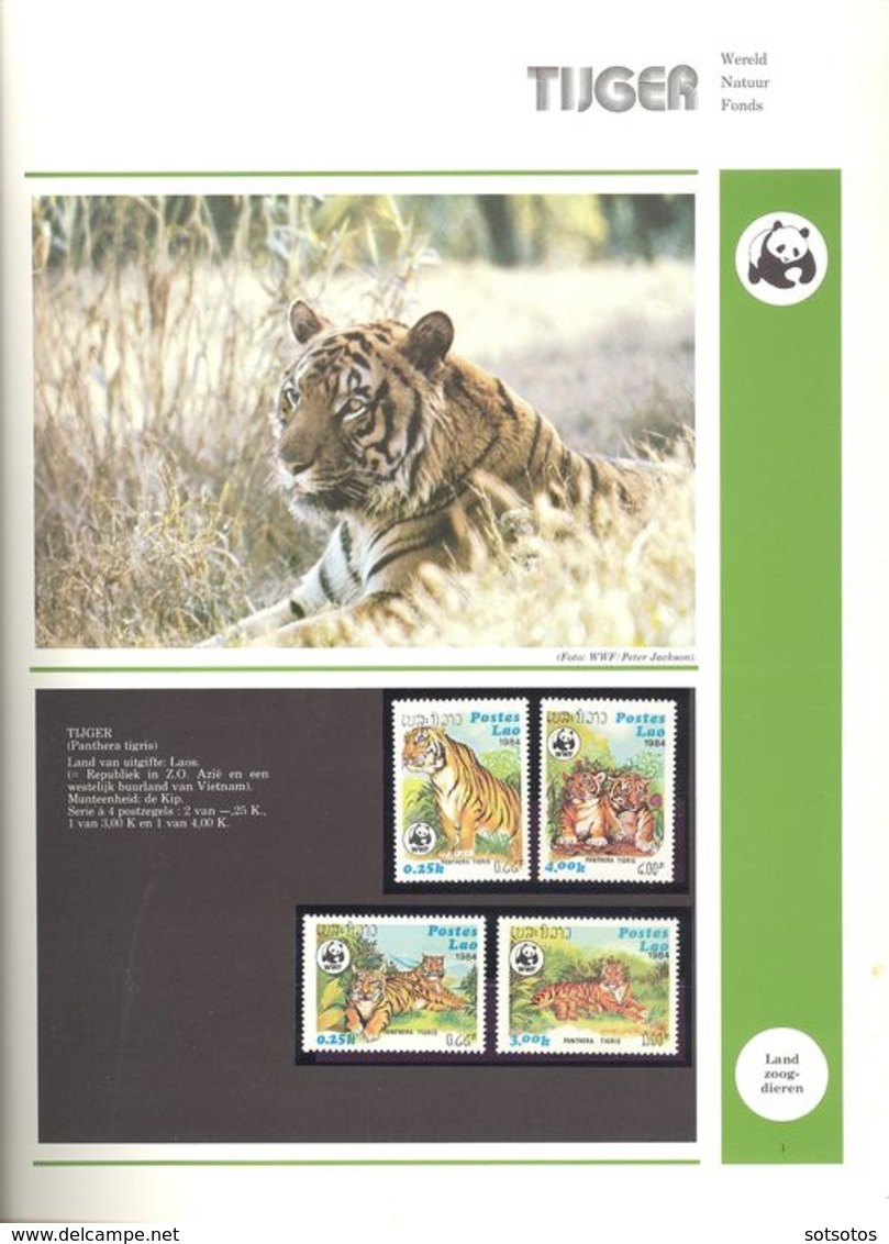 World  - 2 albums WWF in slipcase, Cancelled, MNH (Mint never hinged)  Two albums with loose stamps and envelopes with c