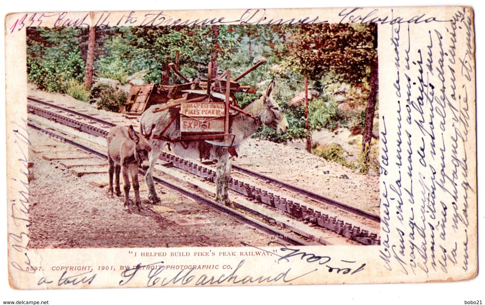 6905 - Colorado ( USA ) Rocky-Mountain - I Helped Build Pike's Peak Railway - By Détroit Phot. & Co. - N°5597 - - Rocky Mountains