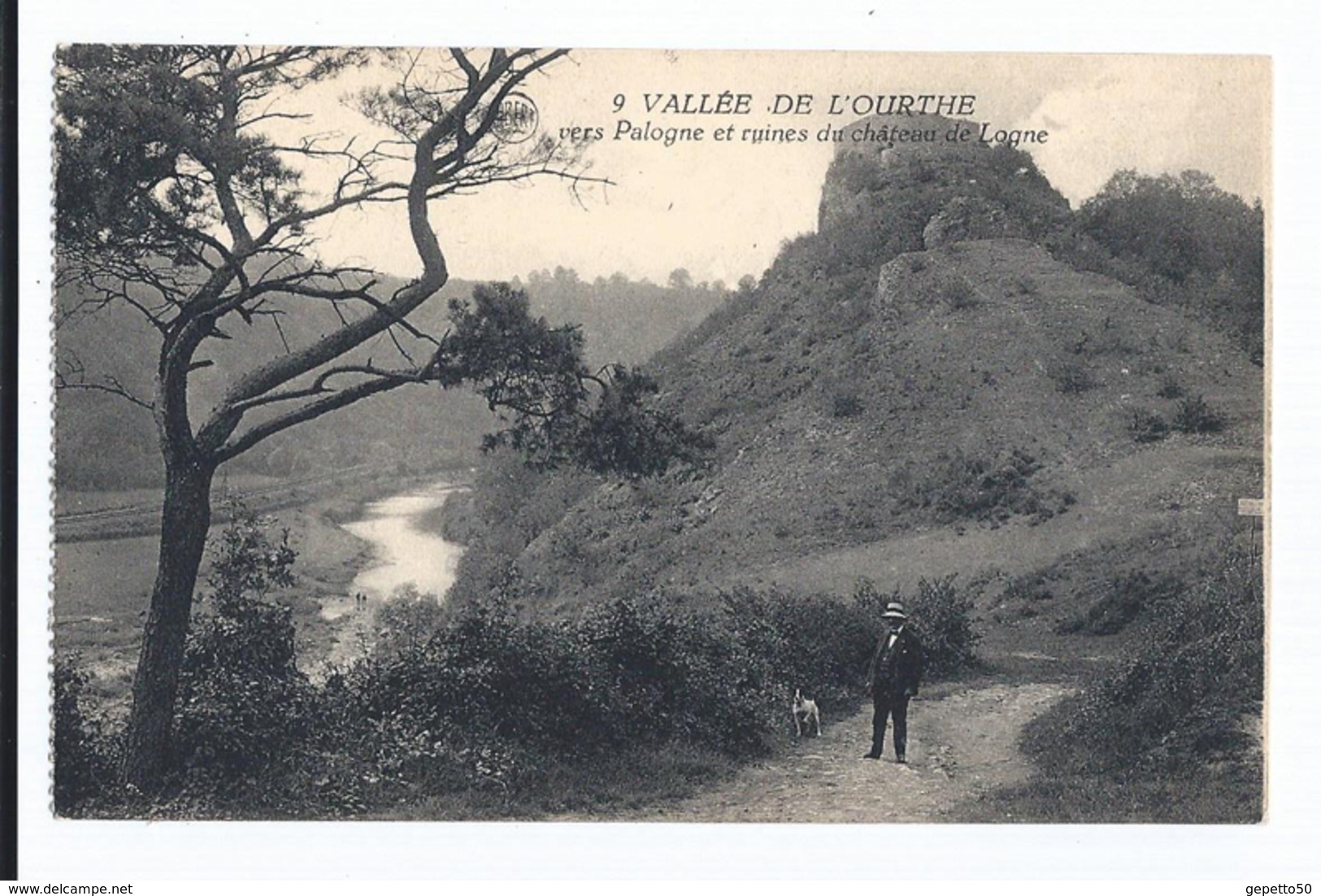 Vallée De L'Ourthe Vers Palogne, Ruines Du Château De Logne   CPSM  Dos  Divisé   Pas Ecrite  De Carnet - Ferrières