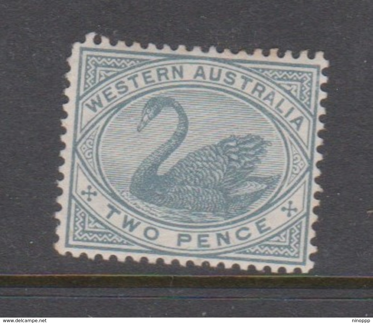 Australia-Western Australia SG 96 1885-93 Two Pence Bluish Grey ,perf 14,mint Hinged - Mint Stamps