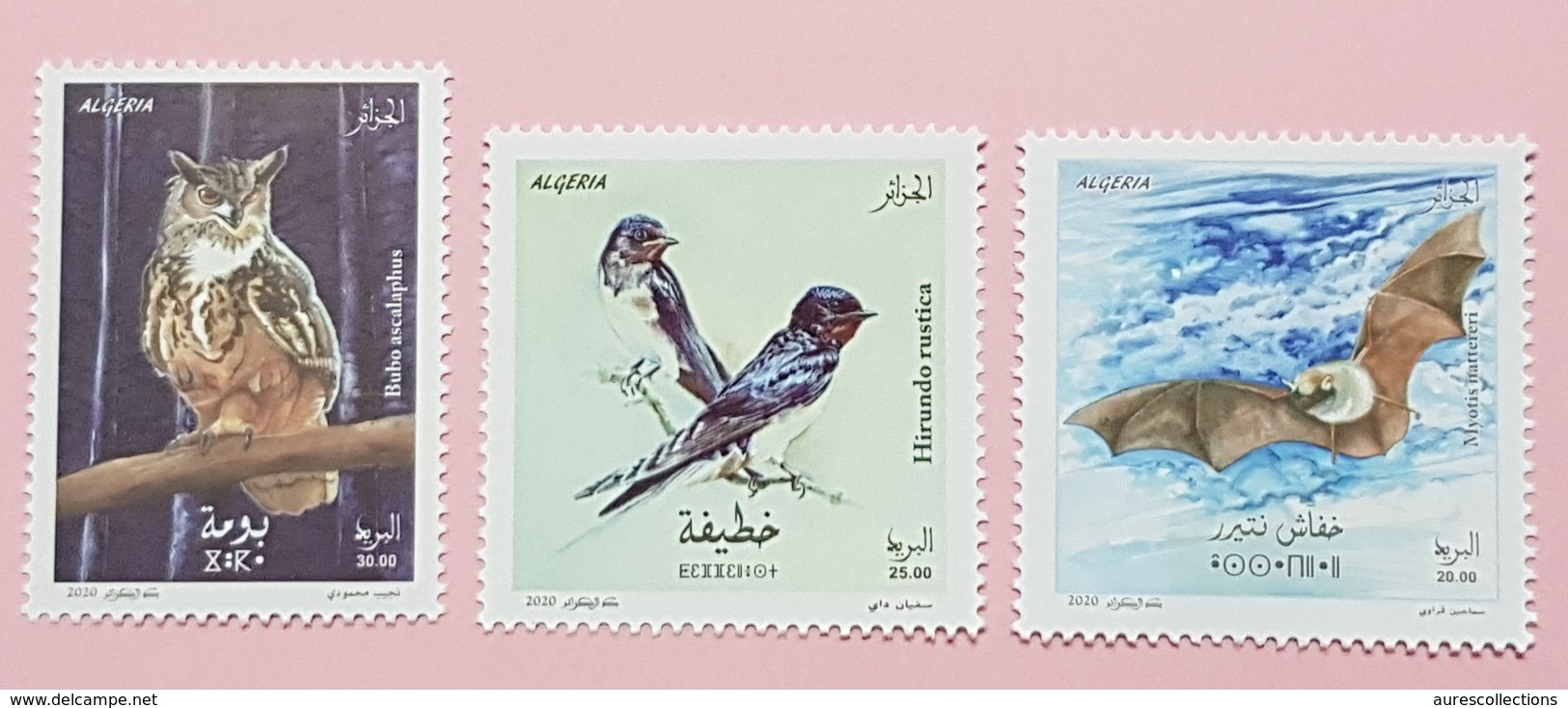 ALGERIE ALGERIA 2020 - HIRONDELLE HIRONDELLES SWALLOW SWALLOWS OWLS OWL HIBOUX BAT BATS CHAUVE SOURIS BIRDS OISEAUX MNH - Algeria (1962-...)
