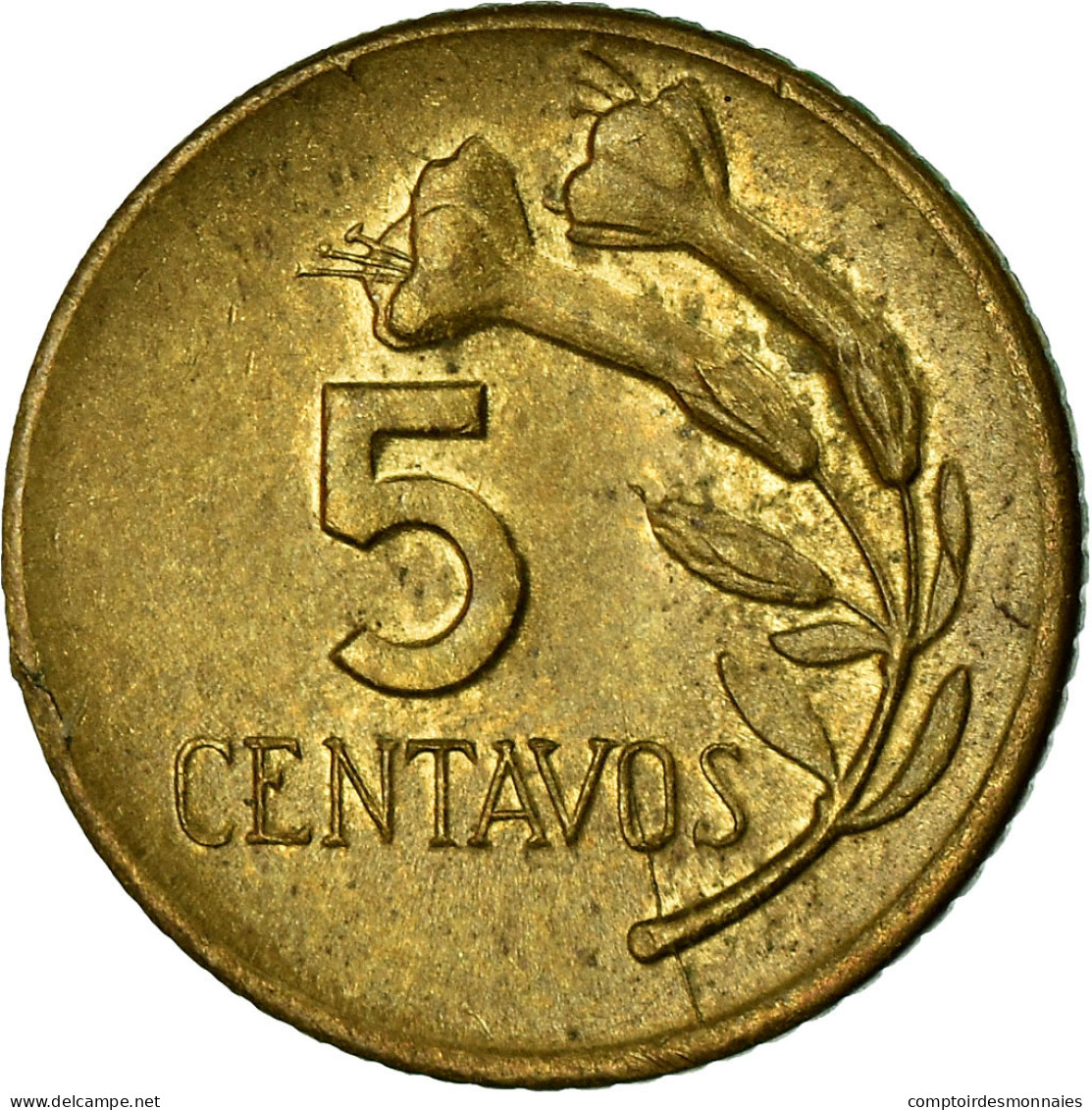 Monnaie, Pérou, 5 Centavos, 1968, TTB, Laiton, KM:244.1 - Pérou