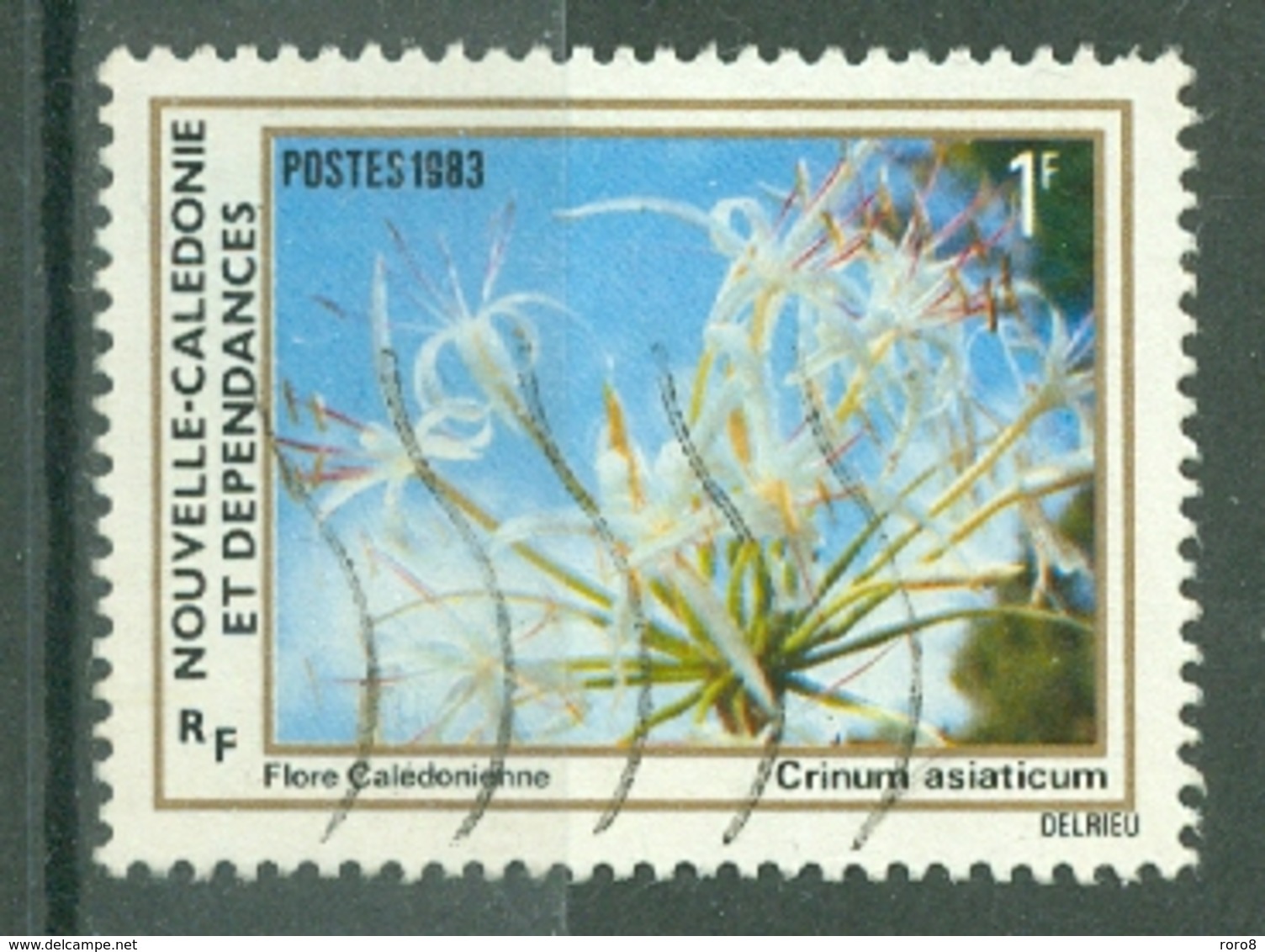 NOUVELLE-CALEDONIE - N° 469  Oblitéré   Crinum Asiaticum - Oblitérés