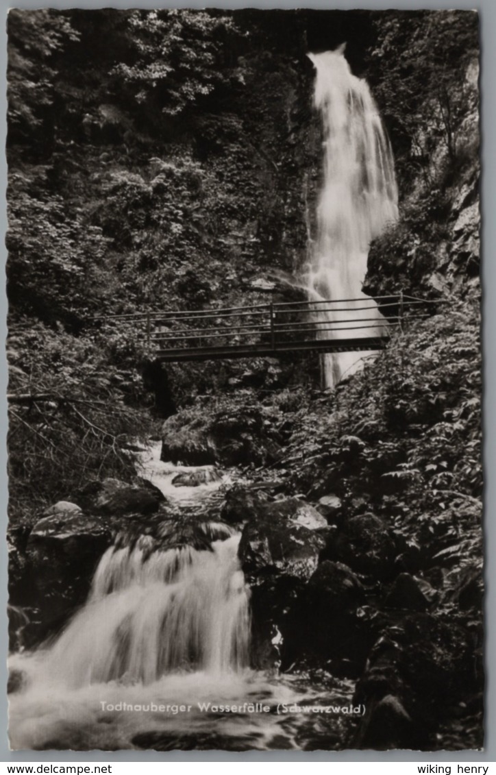 Todtnau Todtnauberg - S/w Todtnauberger Wasserfälle - Todtnau