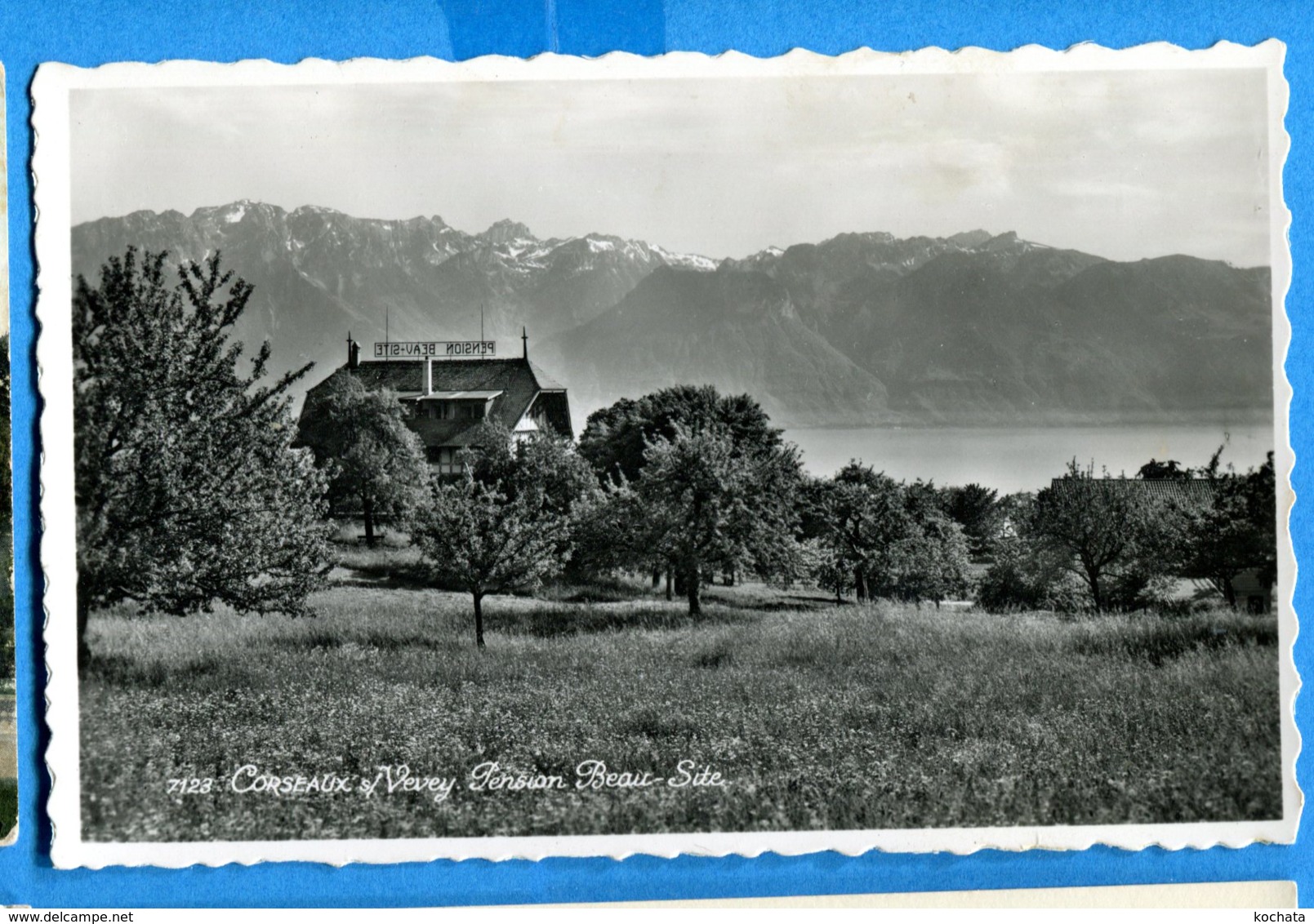 NY138, Corseaux Sur Vevey, Pension Beau-Site, Lac Léman, 7123, Perrochet, Circulée 1950 - Corseaux