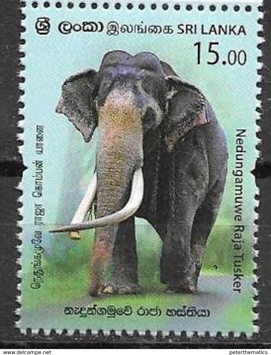 SRI LANKA, 2019, MNH,FAUNA, ELEPHANTS,1v - Elephants