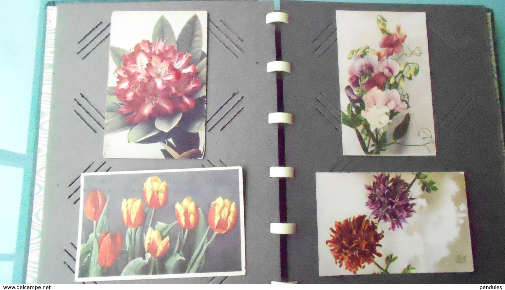 TH	LOT DE 16 CARTES  DE FLEURS 	N° DE CASIER 	493	CIRCULE - Fleurs