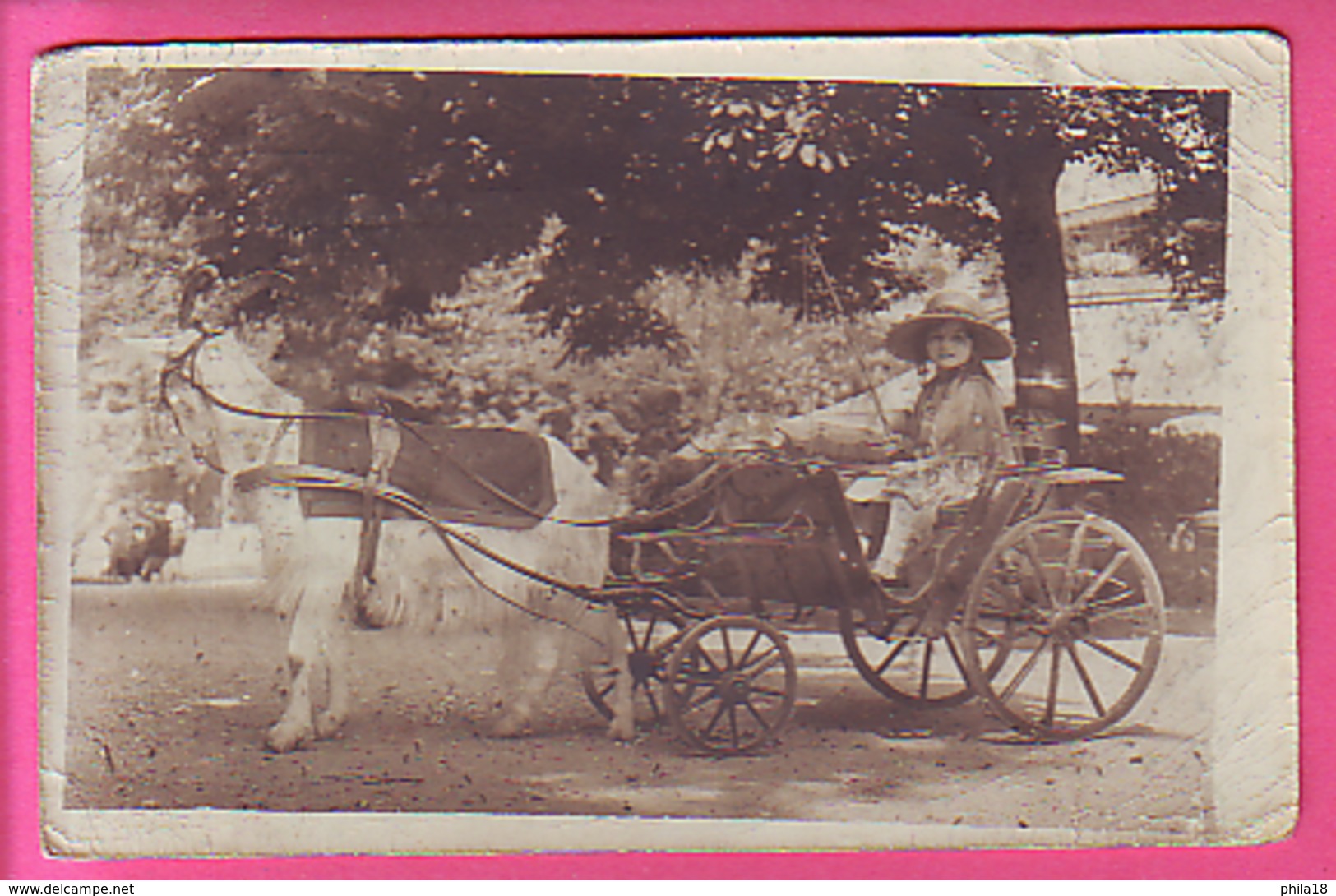 BOUC  ATTELE A UNE VOITURETTE OU SE TIENT UN ENFANT Jeune Fille CARTE PHOTO - Photographs