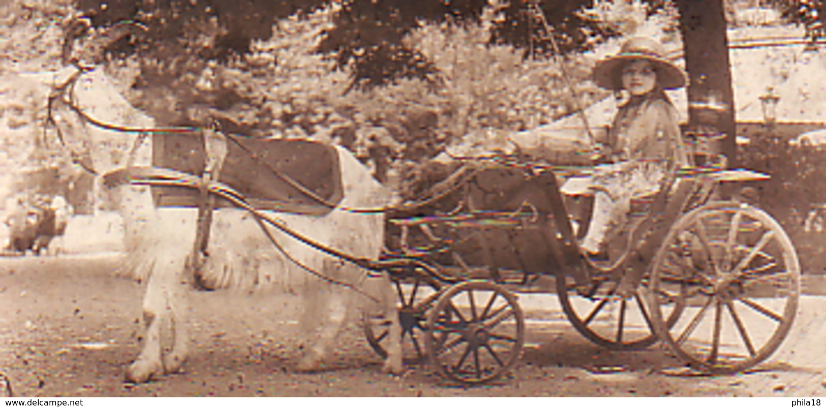 BOUC  ATTELE A UNE VOITURETTE OU SE TIENT UN ENFANT Jeune Fille CARTE PHOTO - Photographs