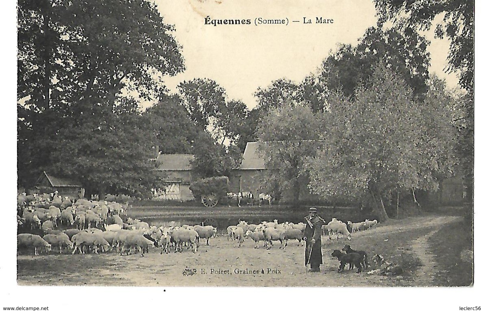 80 EQUENNES LA MARE TROUPEAU DE MOUTONS ET SON BERGER 1907 CPA 2 SCANS - Autres & Non Classés