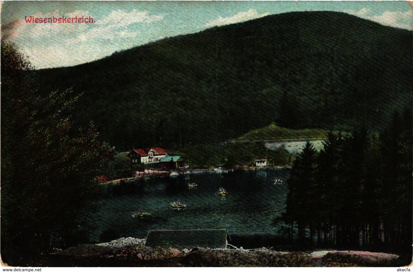 CPA AK Bad Lauterberg Wiesenbeeker Teich GERMANY (955762) - Bad Lauterberg