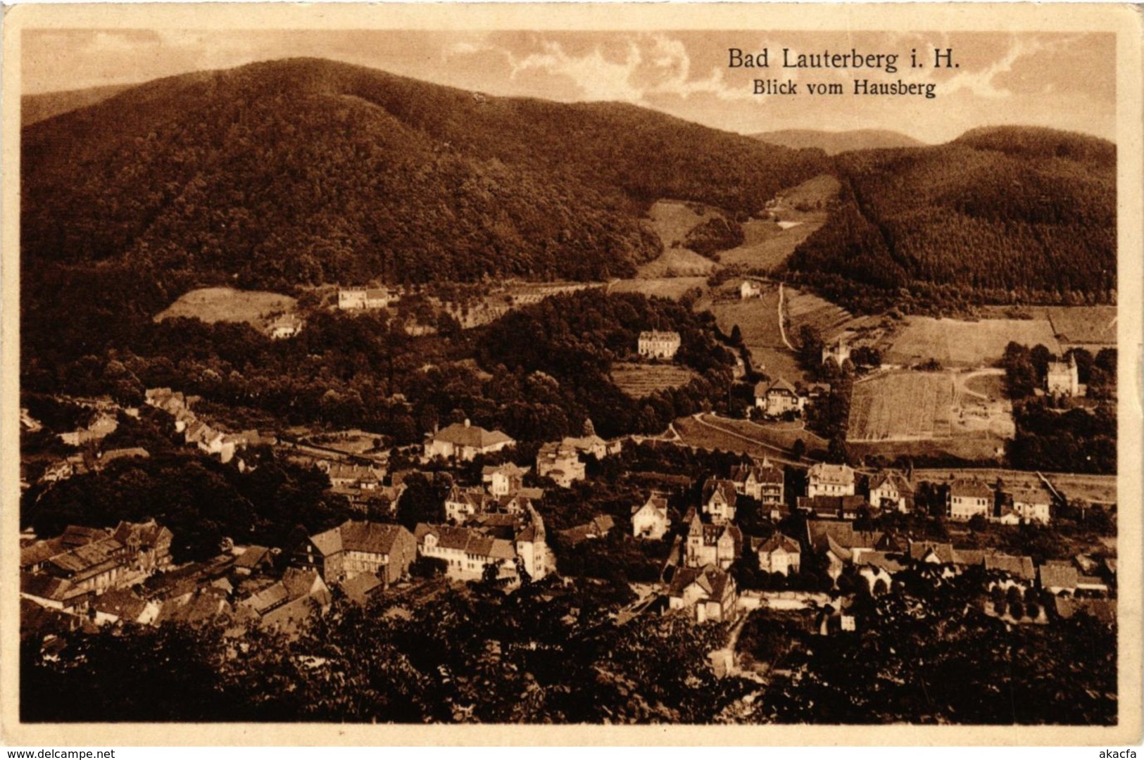 CPA AK Bad Lauterberg Blick Vom Hausberg GERMANY (955772) - Bad Lauterberg