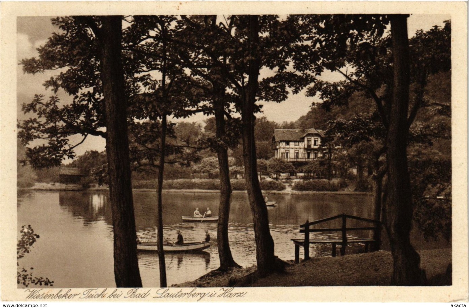 CPA AK Bad Lauterberg Wiesenbeeker Teich GERMANY (955777) - Bad Lauterberg