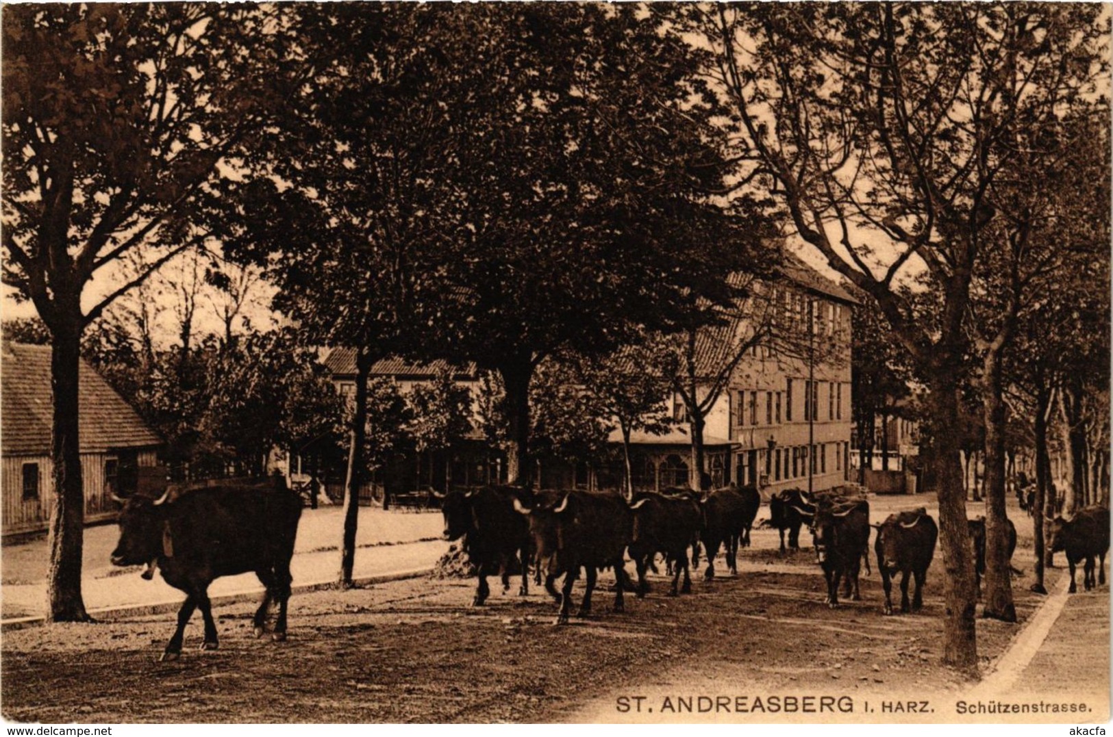 CPA AK St.Andreasberg Schutzenstrasse GERMANY (955828) - St. Andreasberg