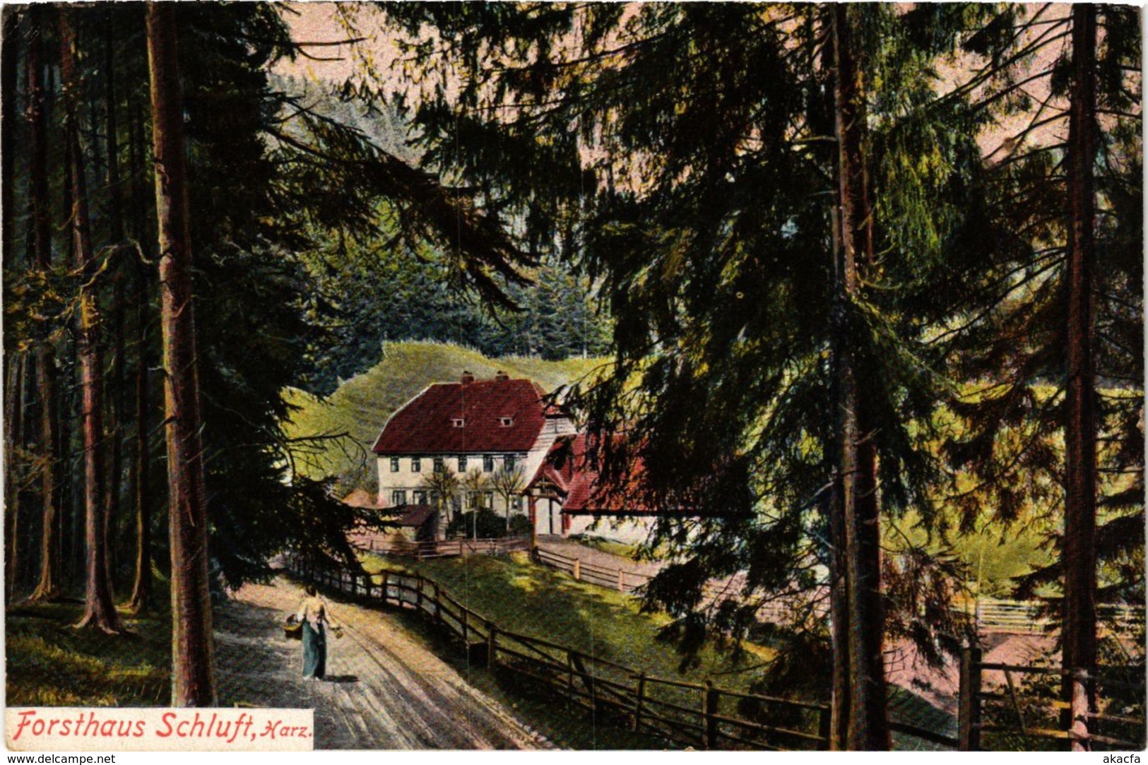 CPA AK St.Andreasberg Forsthaus Schluft GERMANY (955857) - St. Andreasberg