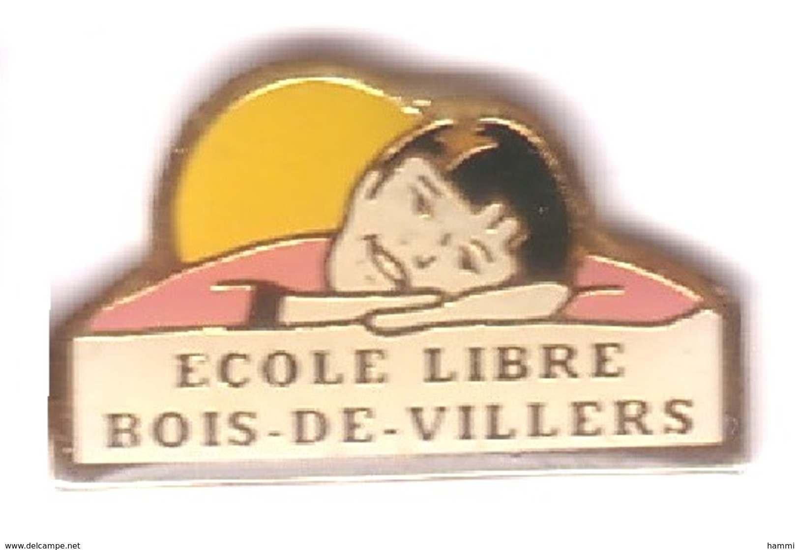 VF155 Pin's Village Bois De Villers Belgique école Libre Achat Immédiat Immédiat - Villes