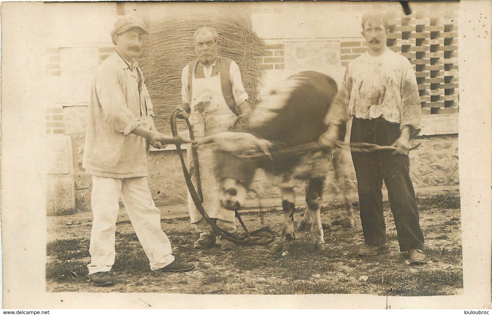 ABATTOIR CARTE PHOTO - Autres & Non Classés