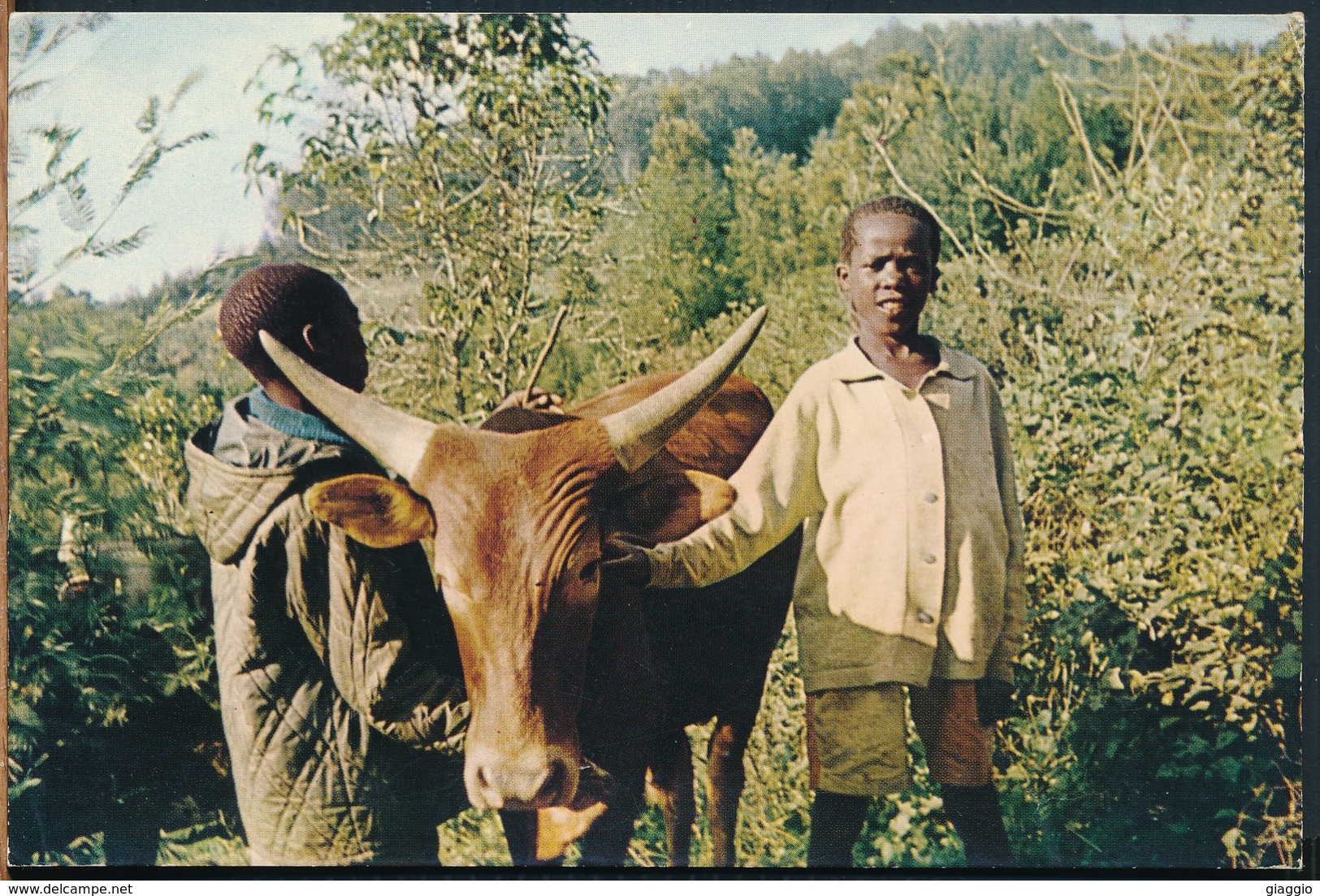 °°° 18895 - PAYSAGE DU BURUNDI , AFRIQUE CENTRALE - 1974 °°° - Burundi