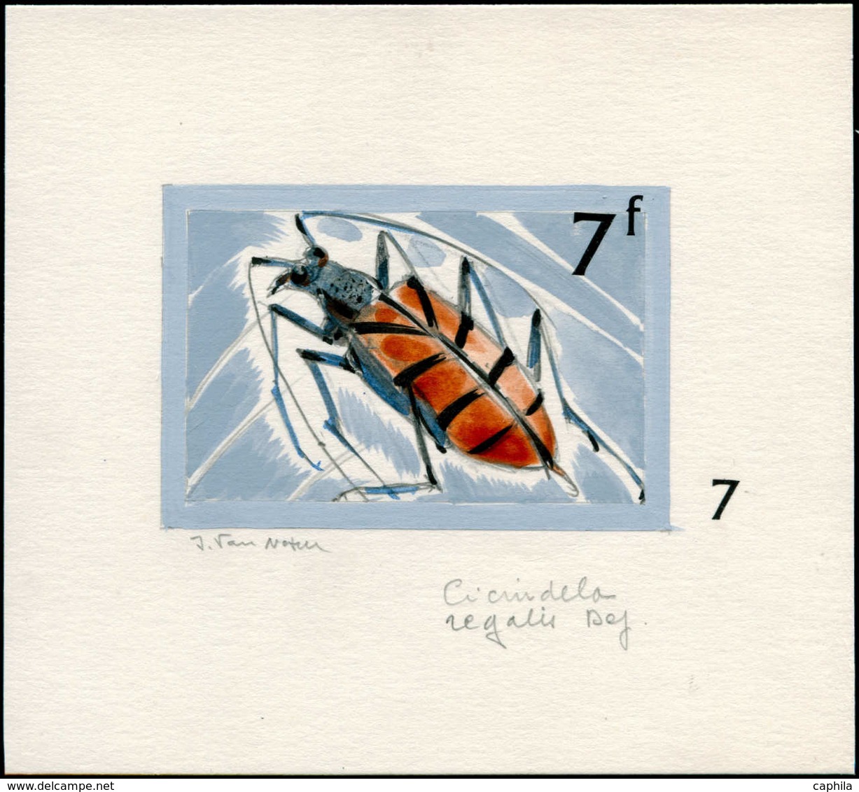 MAQ Insectes - Poste - Congo Belge, Yvert 754, Maquette Originale Aquarelle & Encre (80x55), Signée Van Noten 75f. Insec - Autres & Non Classés