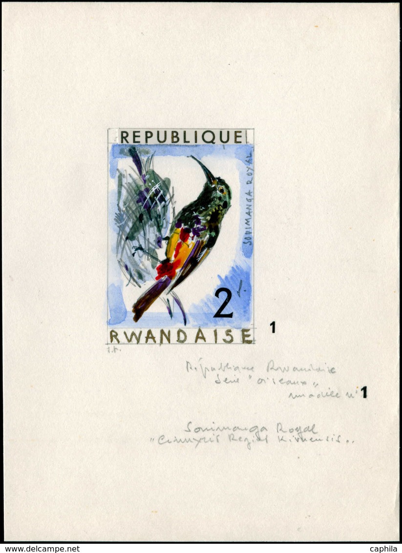 MAQ Oiseaux - Poste - Rwanda, Yvert 241, Maquette Originale Aquarelle & Encre (50x70), Signé Van Noten: 2f. Sonimanga - Autres & Non Classés