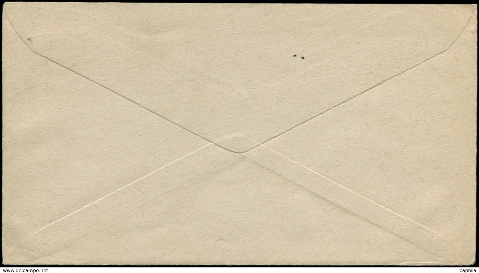 Palmiers - Entiers Postaux - Usa, Enveloppe 2c. Rouge "Karl Stern". Palmier En Pot. (Obl. 11/7/07) - Arbres