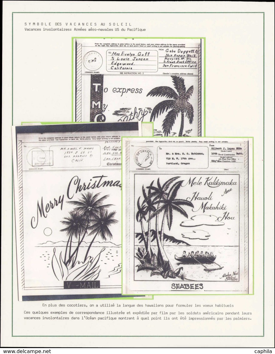 O Palmiers - Entiers Postaux - 3 V-mail Différents, Avec Photo Et Illustrés De Cocotiers, Pour Les Forces Us Du Pacifiqu - Arbres
