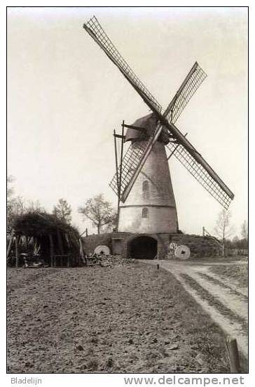 VLIMMEREN Bij Beerse (Antw.) Molen/moulin - Verdwenen Molen De Peperbus, Zeer Fraaie Opname Van Glasnegatief - Beerse