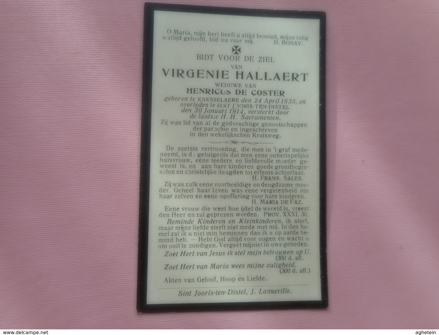 D.P.-VIRGENIE HALLAERT °KNESSELARE 24-4-1835+ST.-JORIS-TEN-DISTEL 30-1-1914 - Religion &  Esoterik