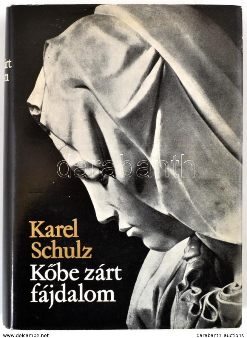 Karel Schulz: Kőbe Zárt Fájdalom. Michelangelo Buonarroti életregénye. Bp.,1973, Corvina. Fekete-fehér Fotókkal Illusztr - Sin Clasificación