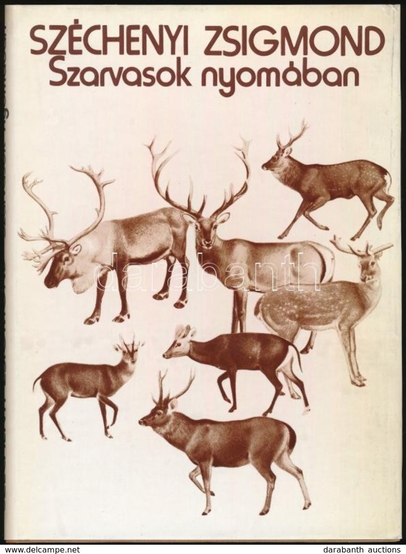 Széchényi Zsigmond: Szarvasok Nyomában és Egyéb írások. Bp., 1979, Gondolat. Első Kiadás. Kiadói Egészvászon-kötés, Kiad - Ohne Zuordnung