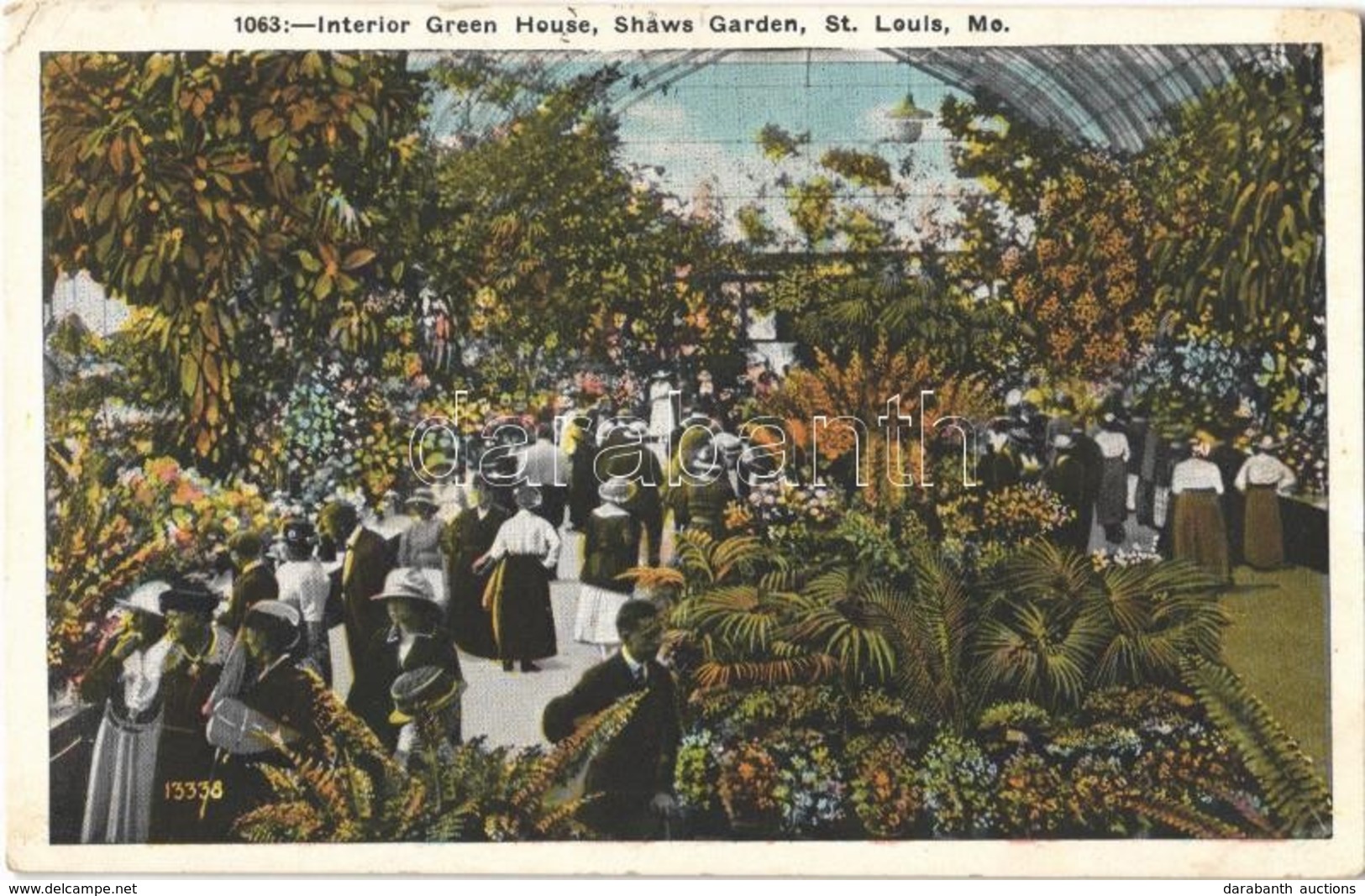 T2/T3 1927 St. Louis, Shaws Garden, Interior Green House (EK) - Ohne Zuordnung