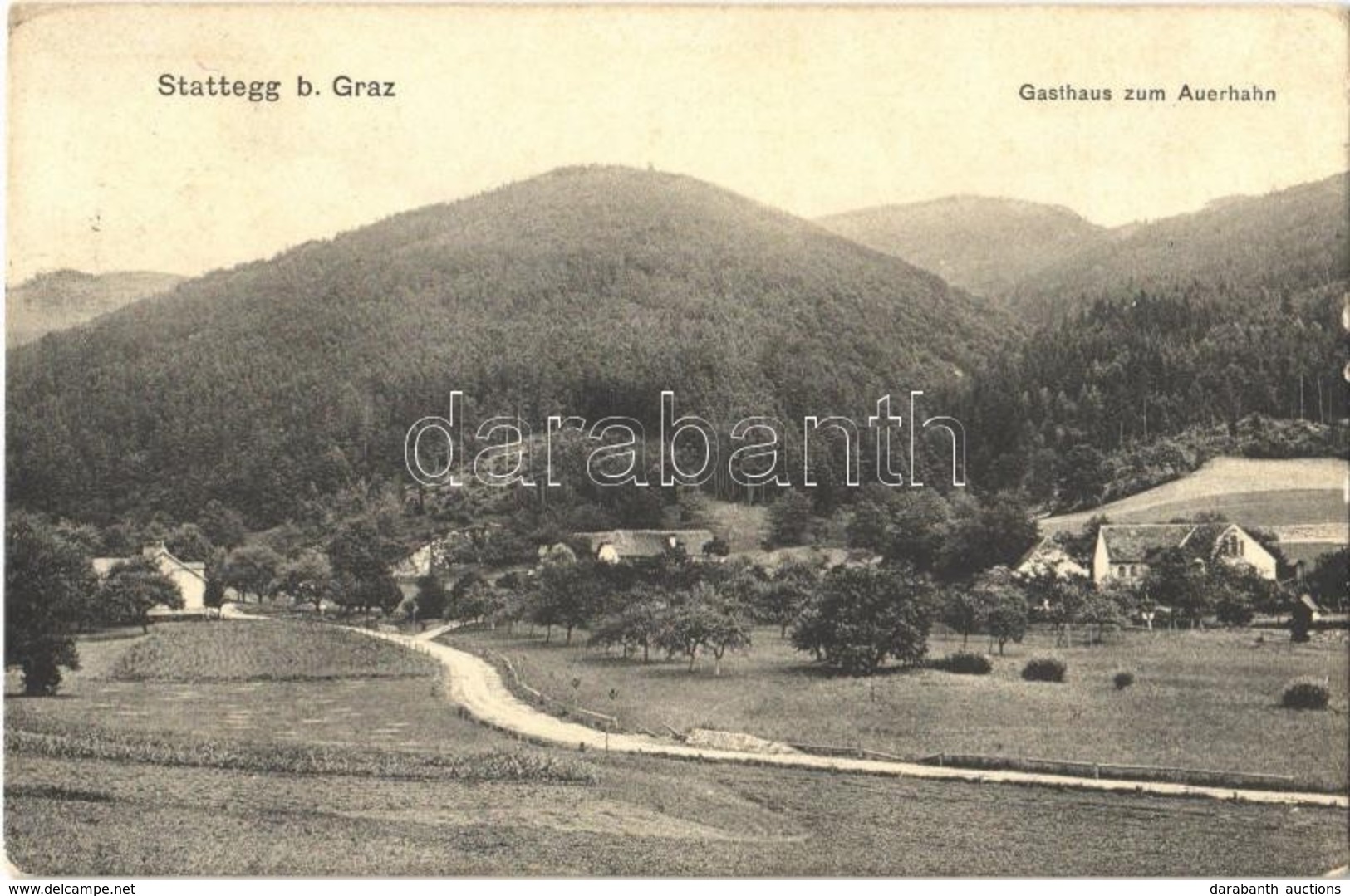 T2/T3 1924 Stattegg, (Graz), Gasthaus Zum Auerhahn / General View, So. Stpl - Ohne Zuordnung