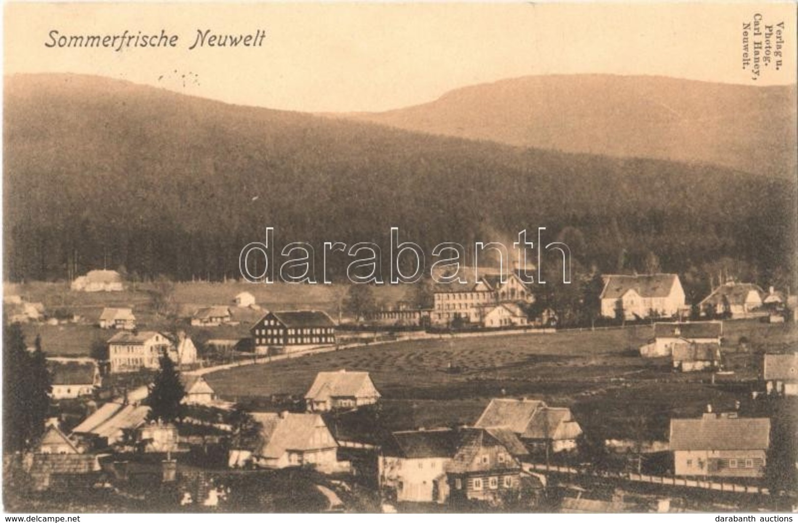 T1/T2 Novy Svet, Sommerfrische Neuwelt / General View, Mountain, Forest - Ohne Zuordnung