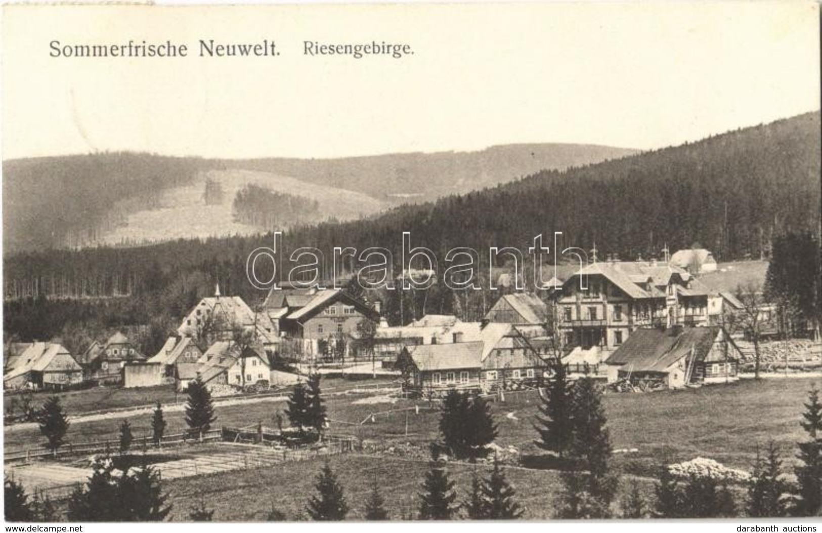 T1 1908 Novy Svet, Krkonose, Riesengebirge, Sommerfrische Neuwelt. / General View, Mountain, Forest - Sin Clasificación