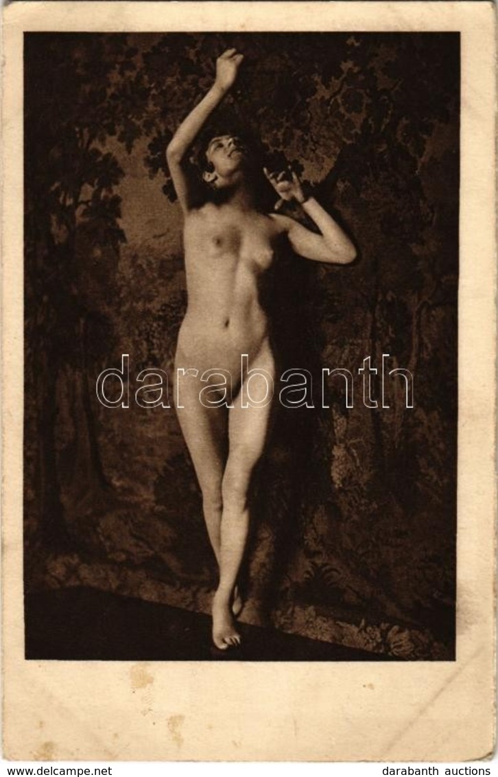 ** T2/T3 Erotic Nude Lady. Phot. Schieberth A. 18. (EK) - Ohne Zuordnung