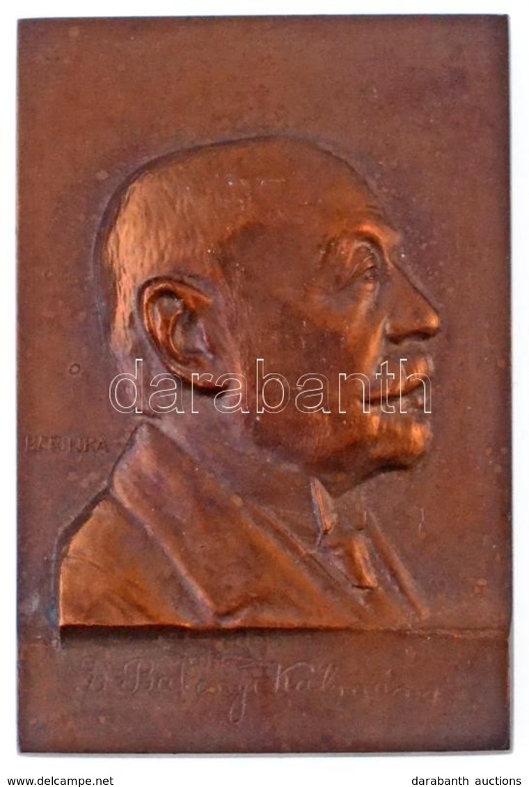 Barinka DN "Dr. Bakonyi Kálmán" Kisméretű Br Plakett (55x36,5mm) T:1- - Ohne Zuordnung