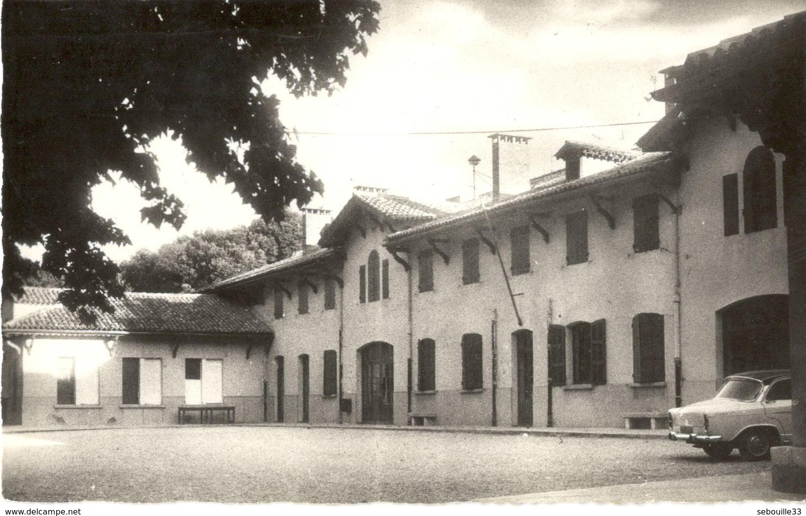 CPSM 83 - Colonie De Vacances EDF - Domaine De Chibron - Signes - Signes