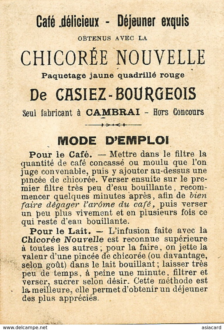 St Domingue  Native . Chromo Chicorée Casiez Bourgeois Cambrai . Café . Format 7 Par 10,5 Cms - Dominicaine (République)