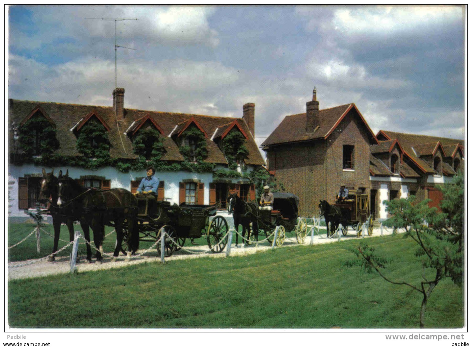 Carte Postale 89. Cerisiers  Haras De Villechétive  Chevaux Centre équestre Daniel Doyen  Trés Beau Plan - Cerisiers