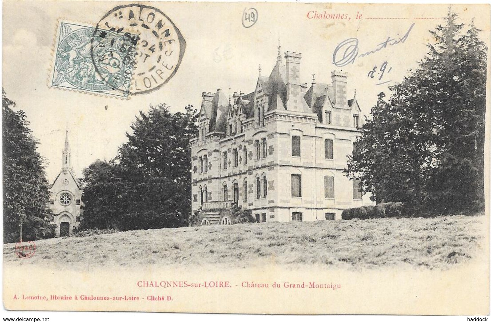 CHALONNES SUR LOIRE : CHATEAU DU GRAND MONTAIGU - Chalonnes Sur Loire