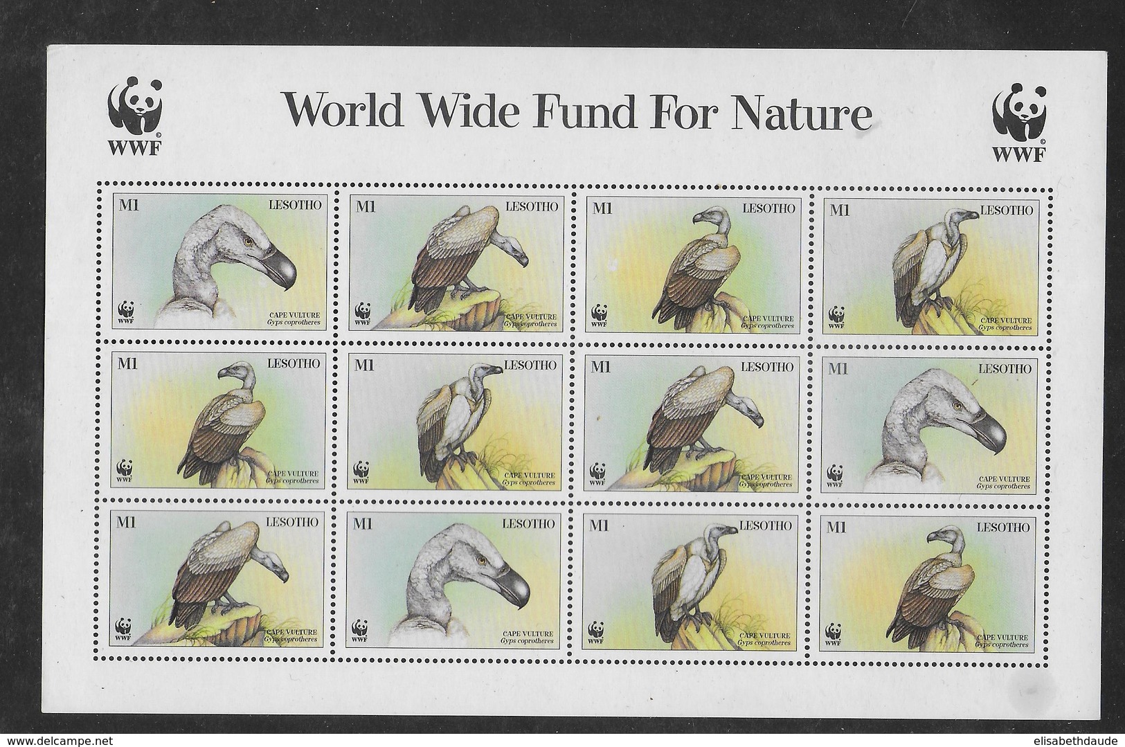 LESOTHO - ANIMAUX WWF - Mi N° 1276/1279 ** MNH - FEUILLET COMPLET - Lesotho (1966-...)