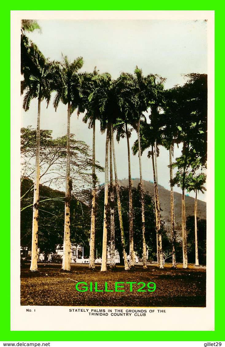 TRINIDAD - STATELY PALMS IN THE GROUNDS OF THE TRINIDAD COUNTRY CLUB - PUB, BY QUEEN'S PARK HOTEL CO LTD - - Trinidad