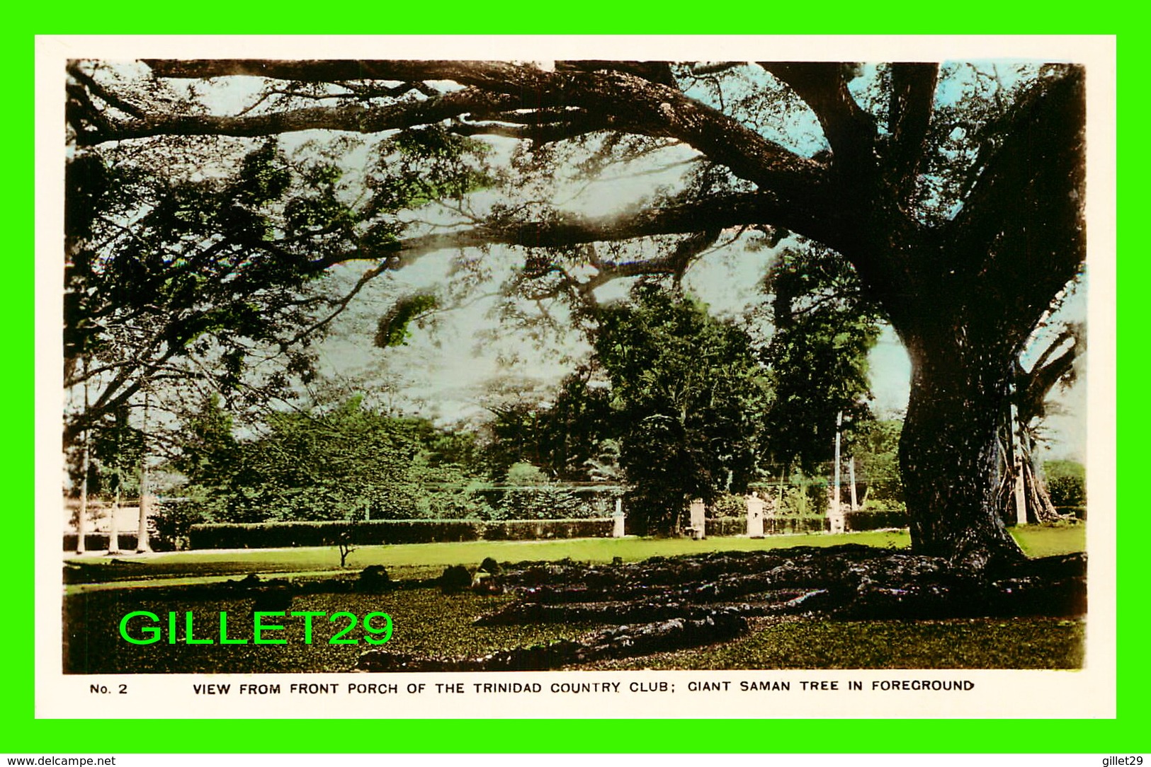 TRINIDAD - VIEW FROM FRONT PORCH OF THE TRINIDAD COUNTRY CLUB, GIANT SAMAN TREE - PUB, BY QUEEN'S PARK HOTEL CO LTD - - Trinidad